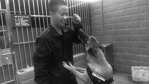 训导员和缉毒犬关系亲密