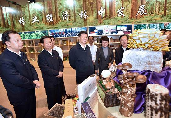 2016年5月23日，习近平总书记来到黑龙江省伊春市考察调研。（新华社记者兰红光、李涛 摄）