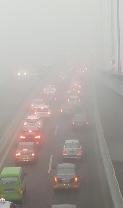最新：大雾锁城能见度极低 多条高速暂时封闭